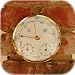 Search Brass Weather Station DS1011 West Meters