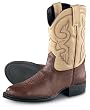 Men's Double-H&reg; 10" Ropers Brown / Cream
