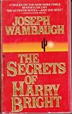 The Secrets of Harry Bright