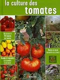 La culture des tomates