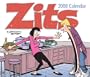 Zits: 2008 Day-to-Day Calendar