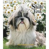 Shih Tzu 2009 Hardcover Weekly Engagement Calendar