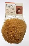 ProPlus Natural Painting Sponge Medium Texture, Large