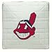 Cleveland Indians Mini Base