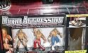 WWE Micro Aggression Series 1 Triple H, Shawn Michaels and John Cena 2 inch Figure Triple Pack of Professional Wrestling Action Figure Toys by Jakks Pacific
