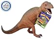 Giant Tyrannosaurus Rex Dinosaur