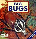 Big bugs