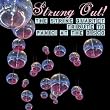Strung Out on Panic! At The Disco: The String Quartet Tribute