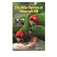 The Wild Parrots of Telegraph Hill Poster Movie 11x17