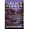 Historical fiction for a high school history class #2
