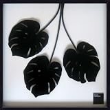 F-style リーフパネル・625x625x30mm　Monstera deliciosa