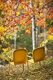 IMAGE OF Wallmonkeys Peel and Stick Wall Decals - Yellow Chairs and Fall Foliage - 60