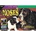 Animal Noses (Look Once, Look Again Science Series)