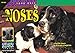 Animal Noses (Look Once, Look Again Science Series)