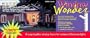 The Window Wonder for Christmas Lights With Display - Bulk 24 Sets