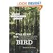 Stalking the Ghost Bird: The Elusive Ivory-Billed Woodpecker in Louisiana