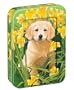 Tree-Free Greetings "Golden Friendship", 12 Count EcoFriendly Dog Note-card Assortment in a Collectible Photo Frame Tin (95752)