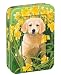 Tree-Free Greetings Golden Puppy, 12 Count EcoFriendly Note-card Assortment in a Collectible Photo Frame Tin, 5.5 x 7.5 x 0.75 Inches, Shades of Gold, Green and Yellow (95752)