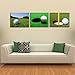 3 Panels Modern Home Decoration Canvan Prints Wall Painting Art Golf Sport 5050cm #03-JD-91152