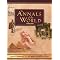 read more about ancient civilizations.