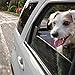 Classic Accessories 70-012-012201-00 Dog About Automotive Rear Seat Protector, 54