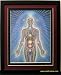 Alex Grey poster Art Psychyc Energy System Framed & Double Matted 12x15