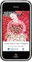 Healing Cards: A Daily Practice for Maintaining Spiritual Balance Pre-Pack of 6 Decks & 1 Free Display Deck
