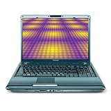 Toshiba Satellite P305D-S8828 17 Laptop (2.0 GHz AMD Turion X2 Dual-Core RM-70 Processor, 3 GB RAM, 200 GB Hard Drive, DVD Drive, Vista Premium) Fusion