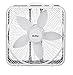 Lakewood Box Fan 20 In. 3 Speed