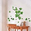 Ivy Leaf - Wall Decals Stickers Appliques Home Decor