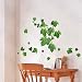 Ivy Leaf - Wall Decals Stickers Appliques Home Decor