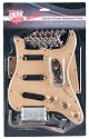 AXL Badwater Guitar Hardware Pack