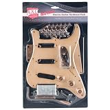 AXL Badwater Guitar Hardware Pack