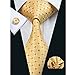 CAOFENVOO Men's Silk Tie Necktie set
