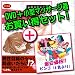 【ベストセラーが待望のＤＶＤ化！】【監修/宋美玄】女医が教える 本当に気持ちのいいセックス DVD超得２枚組（基本編＋上級編）＋【小型マッサージ器】ビンゴ（BINGO）（電池２本付き） (イエロー)