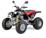 REX OFF LIMIT Quad 150 ATV 70km/h für 2 Personen 149 ccm