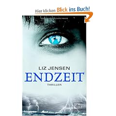 Endzeit: Thriller