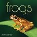 Frogs 2010 Wall Calendar