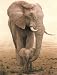 Momma's Boy by W. Michael Frye,27 in. x 35 in.