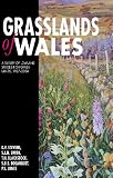 Grasslands of Wales: A Survey of Lowland Species-rich Grasslands, 1987-2004