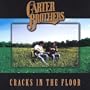 Cracks in the Floor