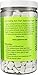 XyloBurst Gum | Xylitol Chewing Gum | Sugar Free, Gluten Free, Keto Friendly | Aspartame Free Gum For Oral Health | Green Tea Gum | 500-Count Bag