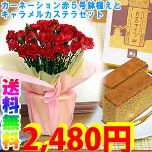 【送料無料】【母の日ギフト】カーネーション赤 ５号鉢植え キャラメルカステラ付き【5/5~5/10の間にお届け】