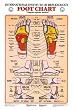 Foot Reflexology Chart Laminated