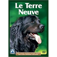 Le terre neuve