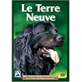 Le terre neuve