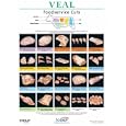North American Meat Processors Veal Notebook Guide, Revised - SET of 5
