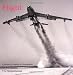 Flight: A History of Aviation in Photographs