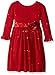 Youngland Girls' Sparkle Sweater Knit Dress with Flower Detail