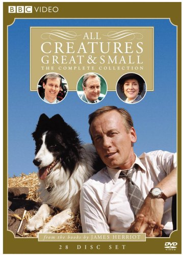 MOVIETITLEMACRO Review